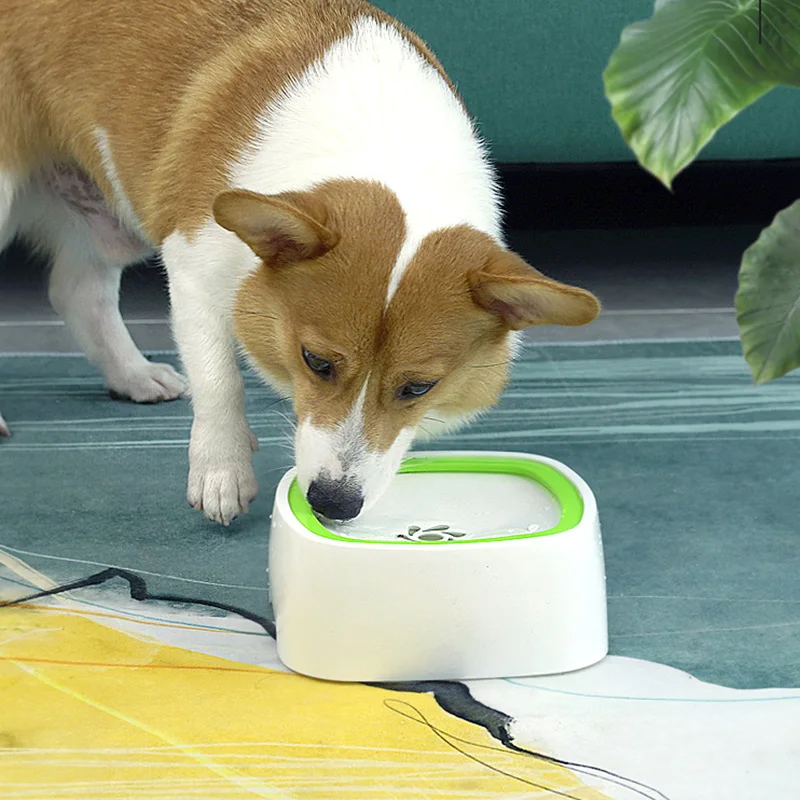 Bowl antisplash para tus mascotas.